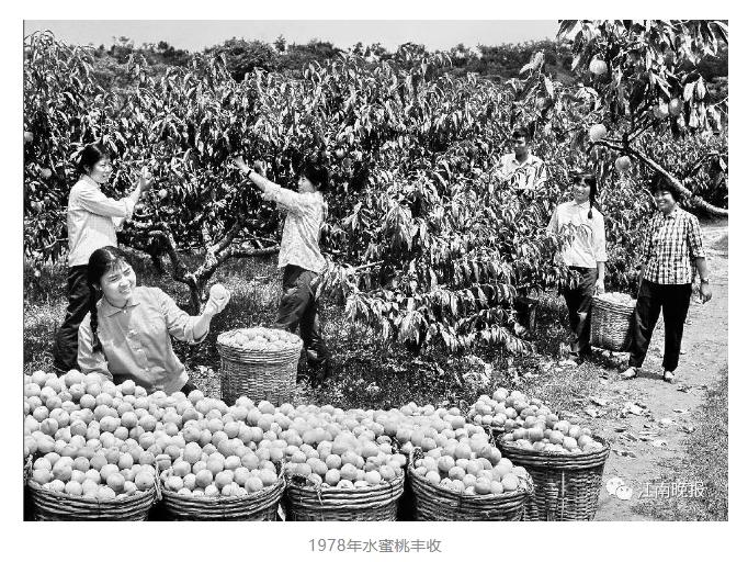 改革开放以来老百姓吃饭的变化,中国改革40周年餐桌变化