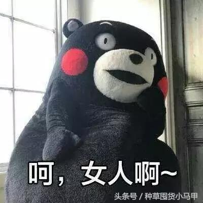 比nars便宜一半的粉底液,比nars还便宜的化妆品牌