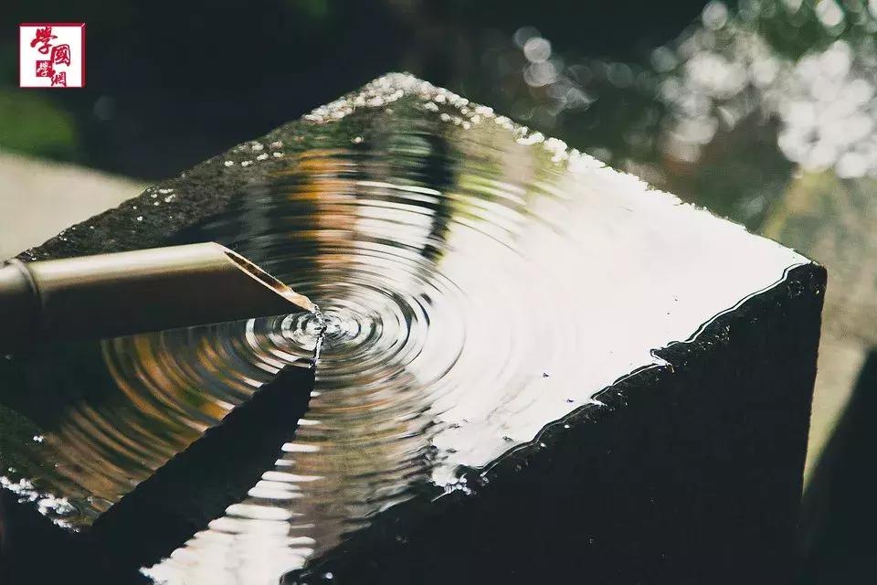 与竹子有关的唯美诗句,一百句最美竹子诗句