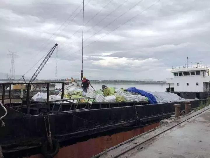 国外扔掉的旧衣服,700多吨走私洋垃圾衣物被查获