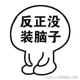 cosme哪个值得买,cosme口碑最好的产品