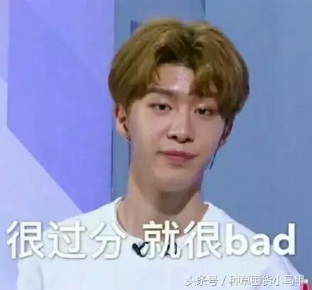 cosme哪个值得买,cosme口碑最好的产品