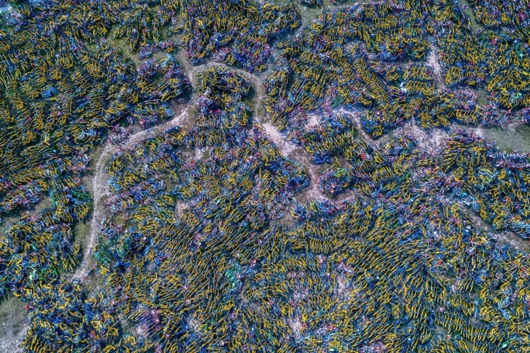 共享单车坟场图,纪录片共享单车坟场