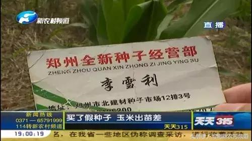 315曝光假玉米,315打假的玉米种子