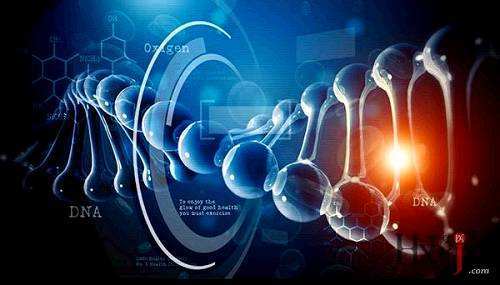 中康耀腾生物,中康耀腾