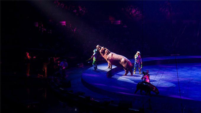 带小孩去长隆欢乐世界畅玩一天,暑假带娃去广州长隆野生动物世界
