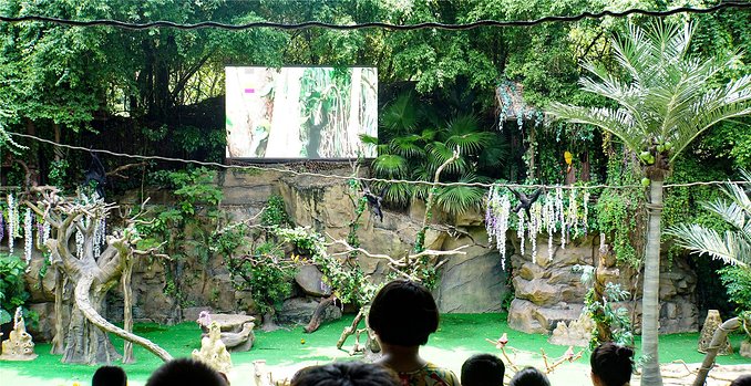 带小孩去长隆欢乐世界畅玩一天,暑假带娃去广州长隆野生动物世界