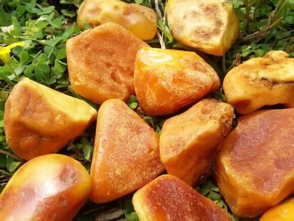 俄料蜜蜡和乌料蜜蜡原石,蜜蜡有假的吗假的是什么材料的