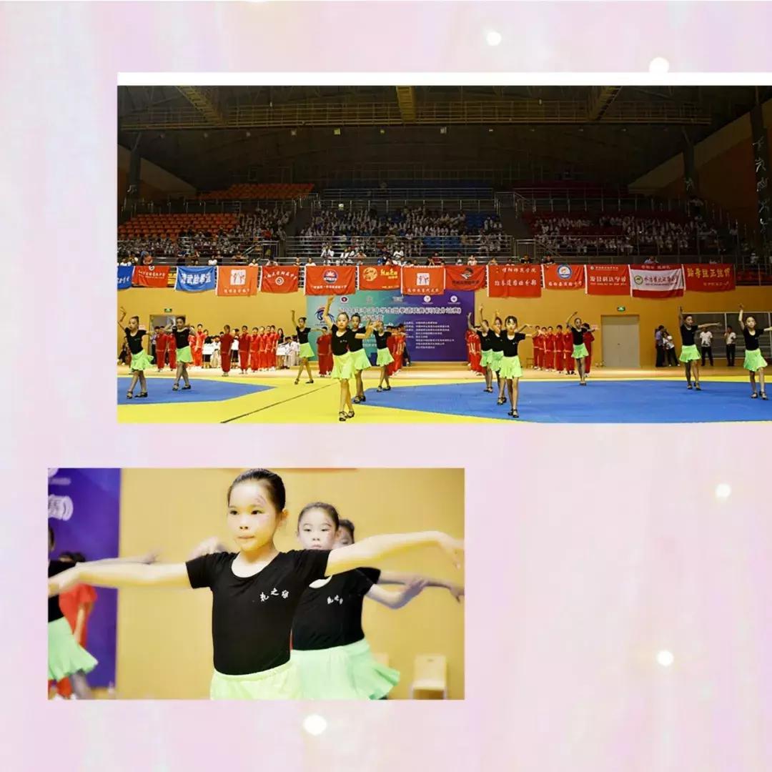 河南第十二届学生跆拳道比赛商丘,2018商丘跆拳道比赛视频