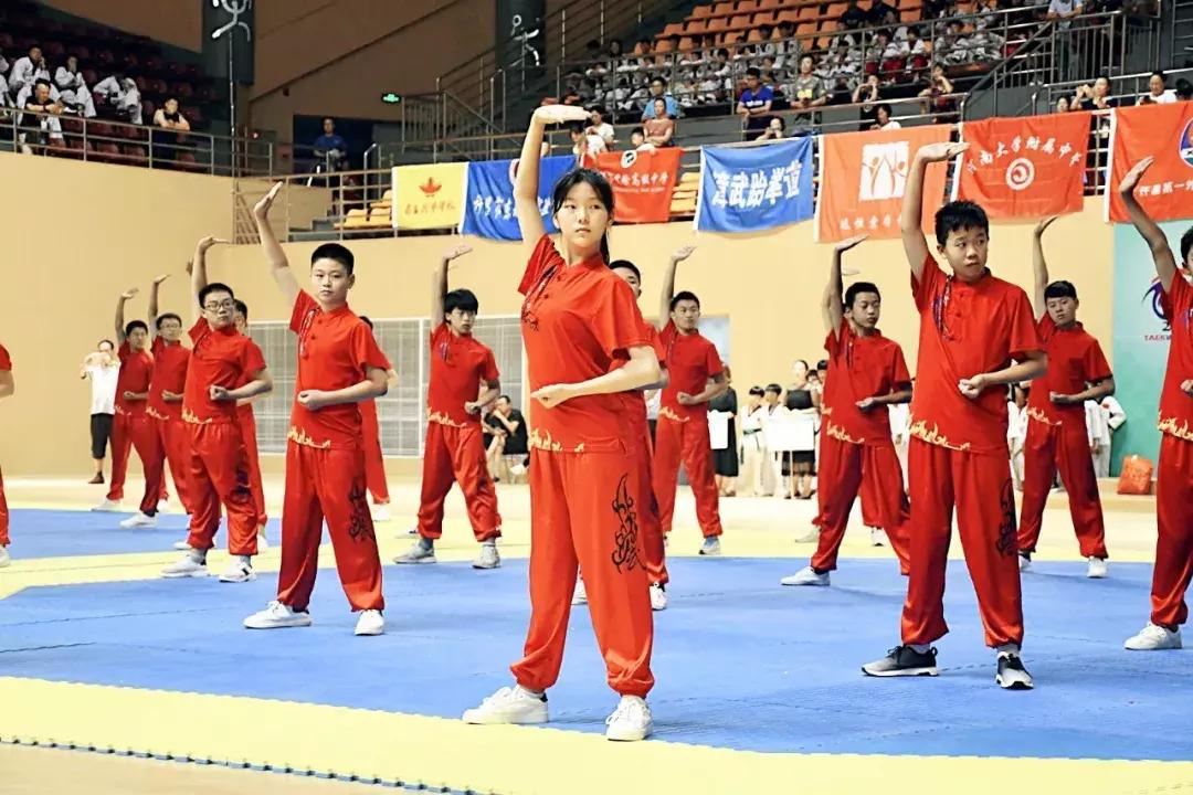 河南第十二届学生跆拳道比赛商丘,2018商丘跆拳道比赛视频