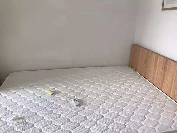 女租客价值6万,租客价值6万被洗劫一空