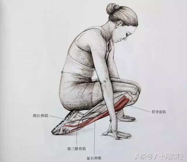 全套小腿拉伸动作视频,拉伸小腿正确方法让腿变细
