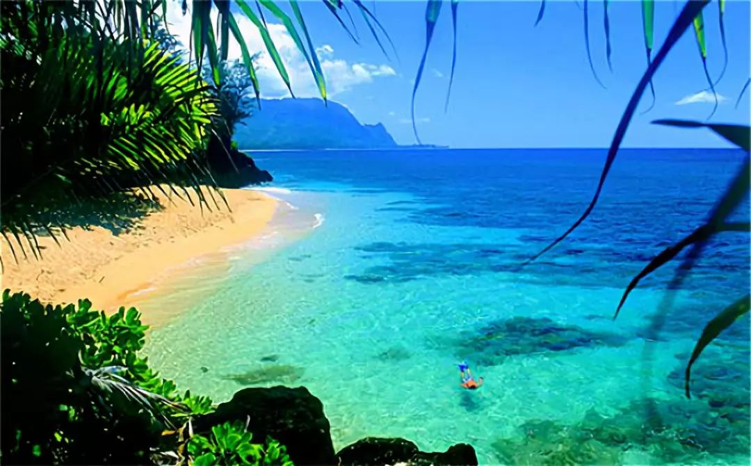 浮潜看海底不一样的世界,浮潜走进十大奇妙世界