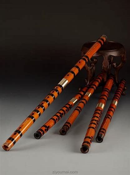 中国的笛子都有哪些类型,笛子是一种什么调的乐器