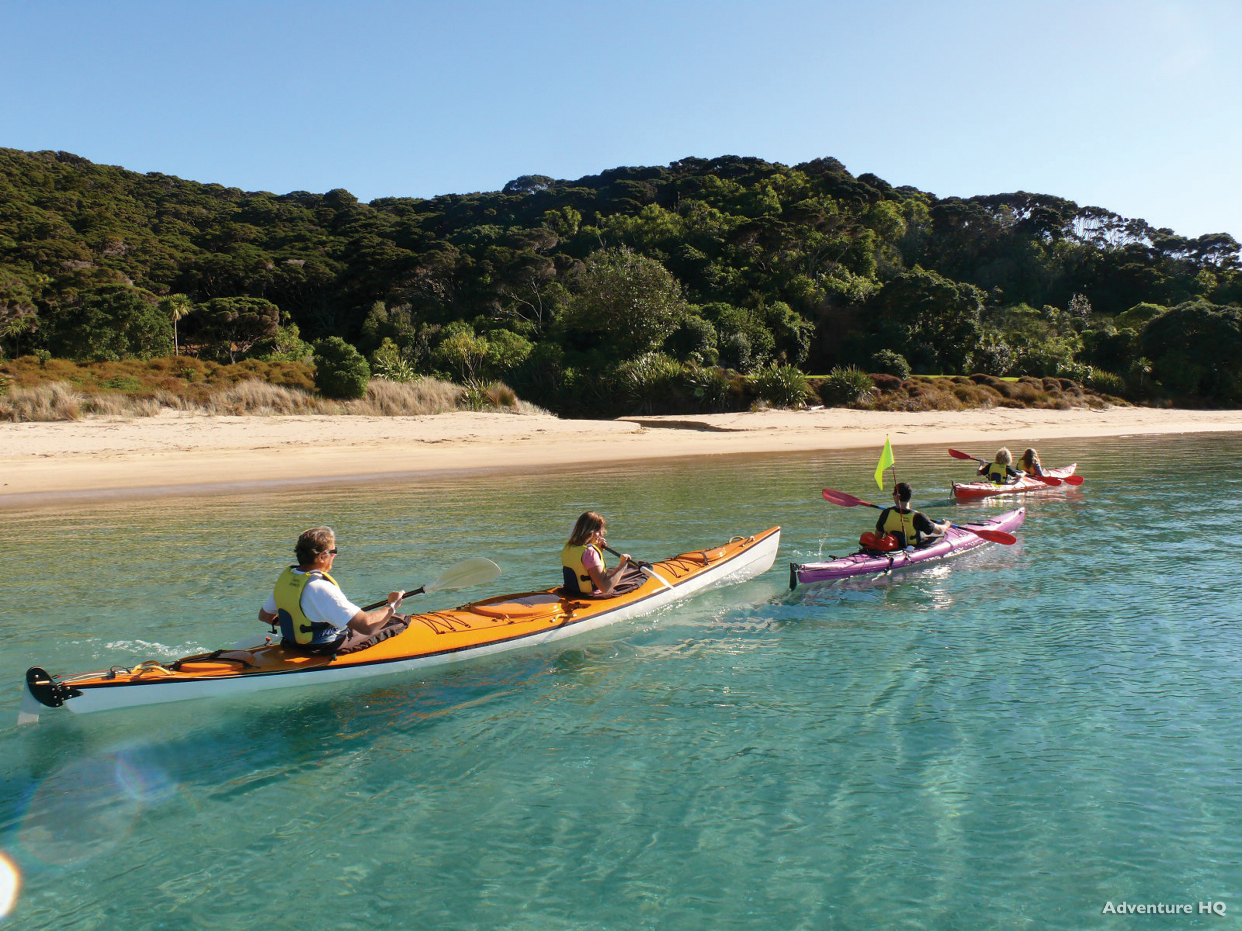 新西兰有哪些神奇的小动物,新西兰草原野生动物