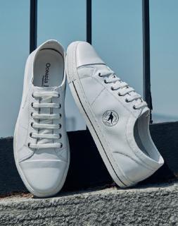 张云龙魅力视频,张云龙在球场上奔跑