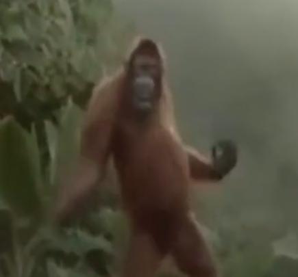 全网最火隔壁泰山歌曲,热门歌曲隔壁泰山