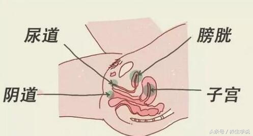 女性尿路感染原因,老年女性尿路感染的原因