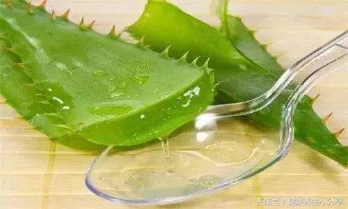 螨虫的天敌和克星,螨虫攻击你了你应该如何解决