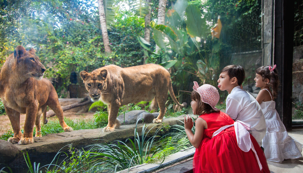 巴厘岛吃喝攻略,巴厘岛闺蜜