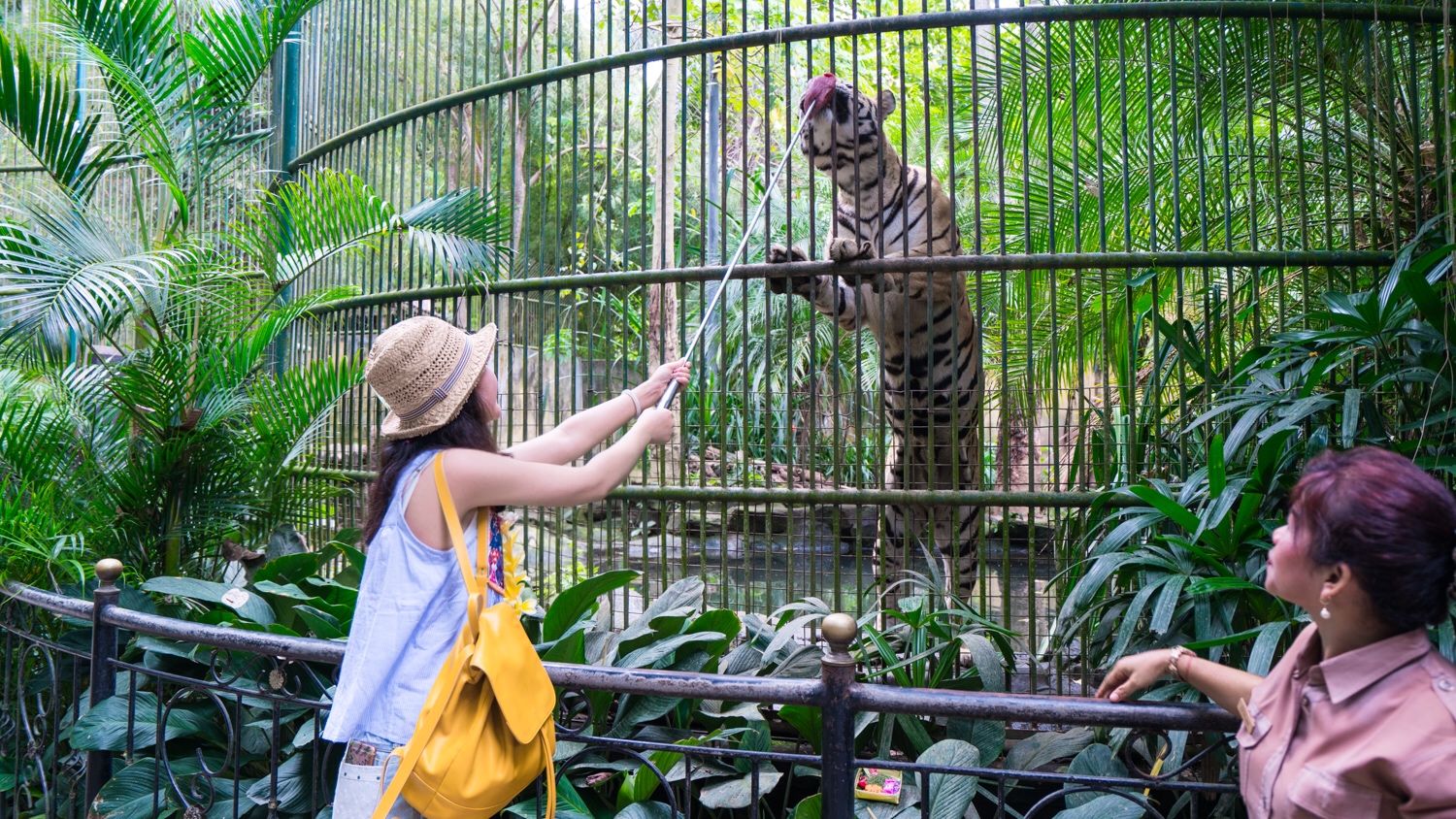 去巴厘岛跟团好不好,巴厘岛跟团游最佳攻略
