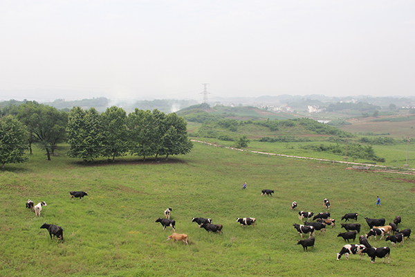 上海最多的飞地,上海为什么拥有这么多飞地