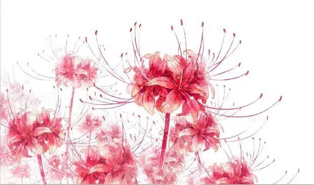 早安乌兰察布,早安乌兰察布市