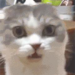 怎么才可以拯救汗脚,如何拯救脚臭