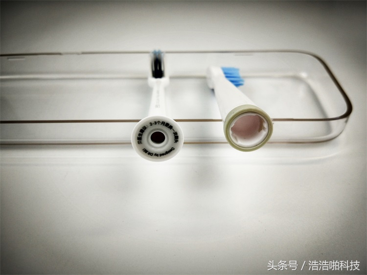 爱口腔第一步小贝陪你一起来