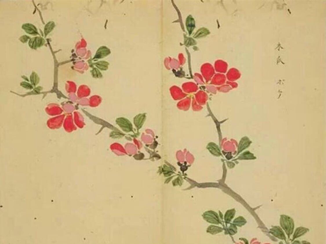 出自蒹葭的成语,蒹葭的成语