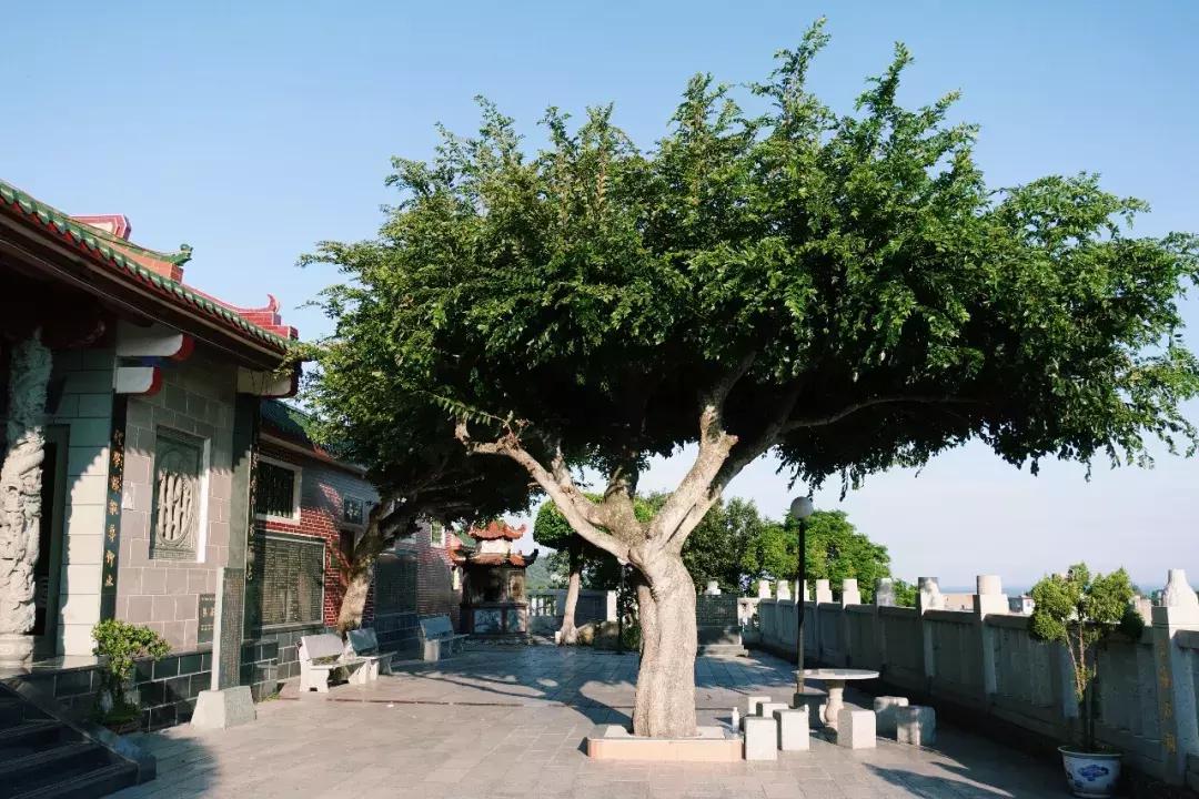 东山岛像浪漫的土耳其,东山岛在哪吃海鲜便宜又新鲜