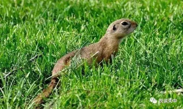 小时候的那些事视频,小时候的那些经历