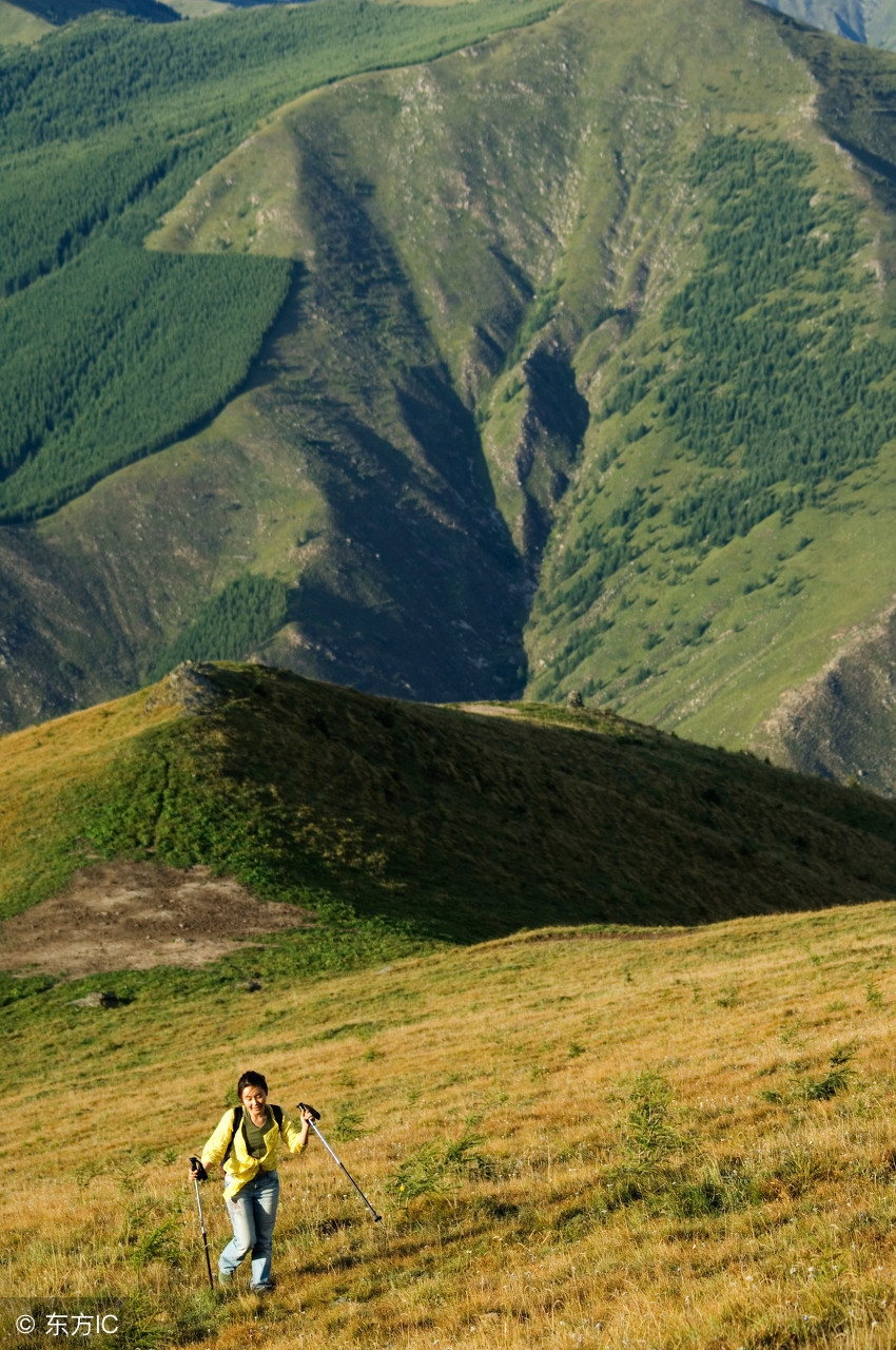 值的收藏的非洲西部、中部、南部等25国签证详细攻略