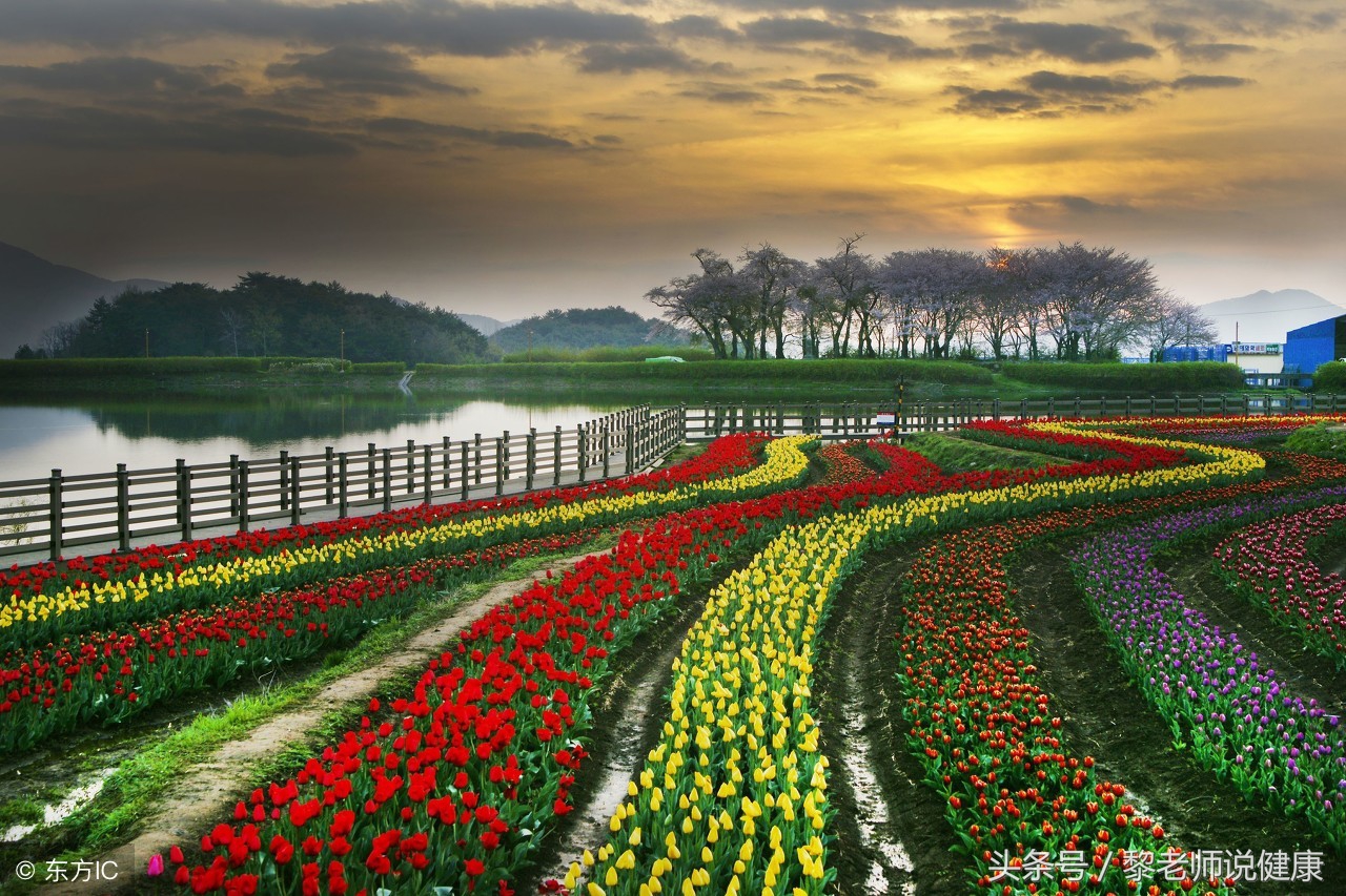 眼睛泛红血丝疼痛由什么引起的,眼睛红血丝肿痛用什么药