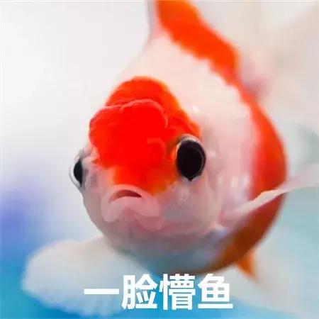 最新一期水逆星座,最新水逆星座