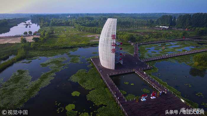 滕州微山湖红荷湿地摄影攻略,滕州微山湖湿地红荷宣传片