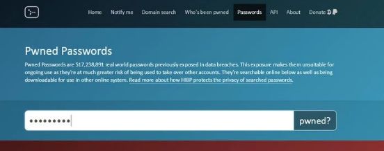个人密码泄露的主要方式是哪些呢,密码泄漏在哪里查看