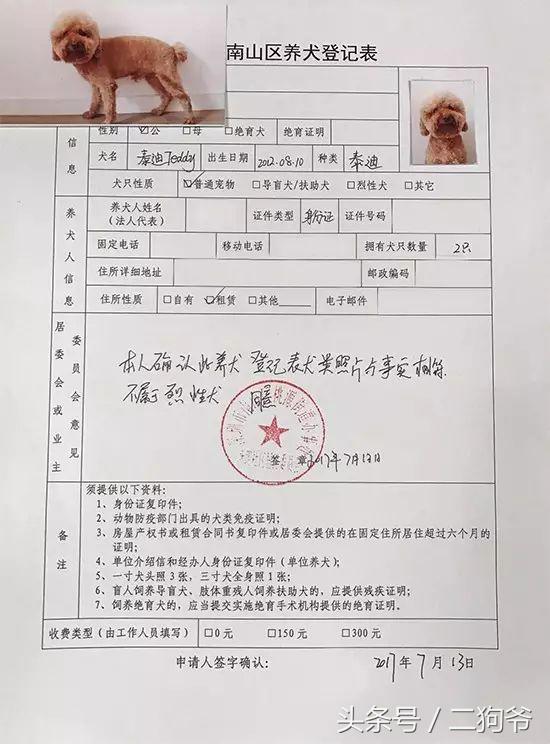 聊城爱犬通办狗证,济南市民为爱犬办狗证
