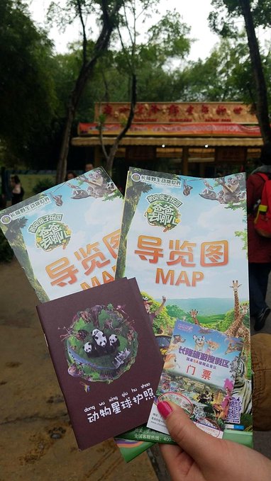 长隆广州野生动物园带娃游玩攻略,一大一小亲子游长隆野生动物园