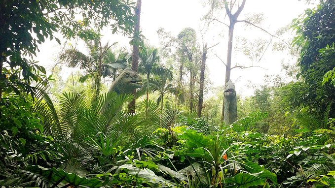 长隆广州野生动物园带娃游玩攻略,一大一小亲子游长隆野生动物园