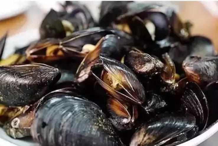 珍珠知识新手入门教学,小火说免费阅读