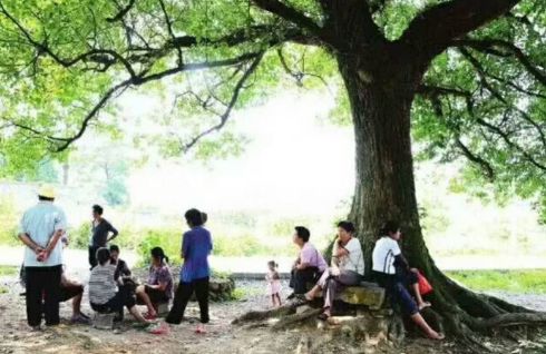「词风雅韵」冯振宇｜阖家欢笑添和睦情驻华庭暖意深（词林正韵）