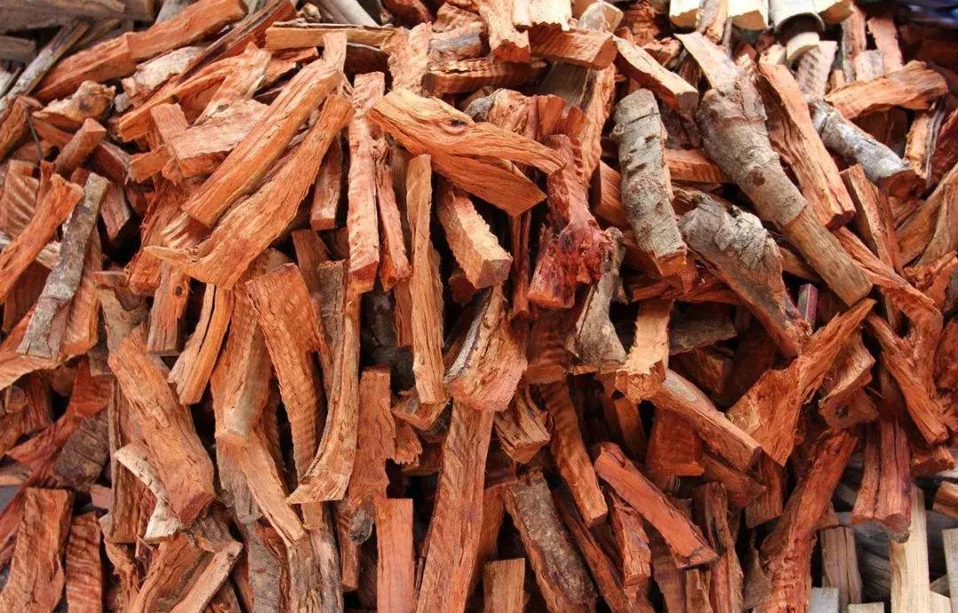 这水果都吃过,却不知树身很名贵,入水就沉,少有人认识