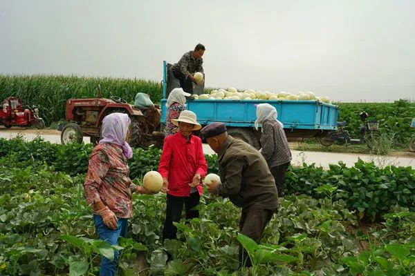 走遍天涯海角忘不了歌名叫什么,走遍天涯海角忘不了原唱