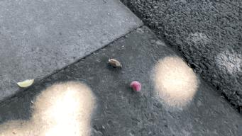 「美文游记征集大赛」No.133光阴缓缓，日子懒懒——在缙云的夏日时光