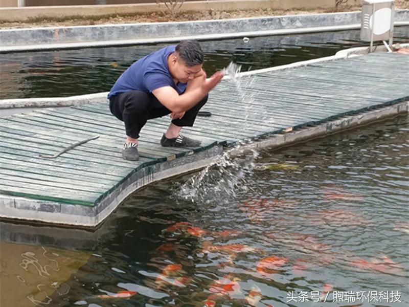 锦鲤鱼池过滤设备哪种好,鱼池专业过滤