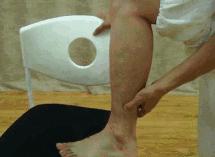 胆经淤堵肩颈,黄帝内经对胆经的作用