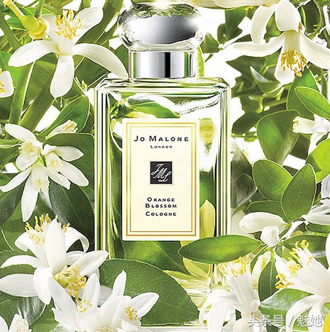 祖马龙三款热门香水30ml单瓶,香奈儿香水和祖玛珑香水哪个好闻