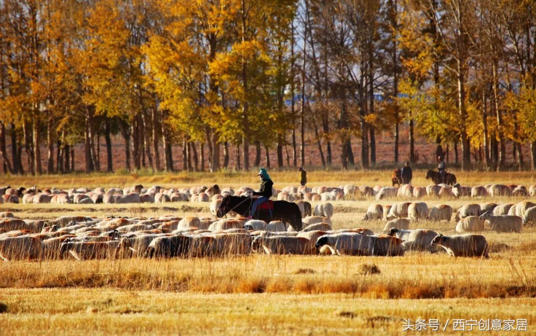 青海为什么频繁发生地震,青海人为什么长得好看