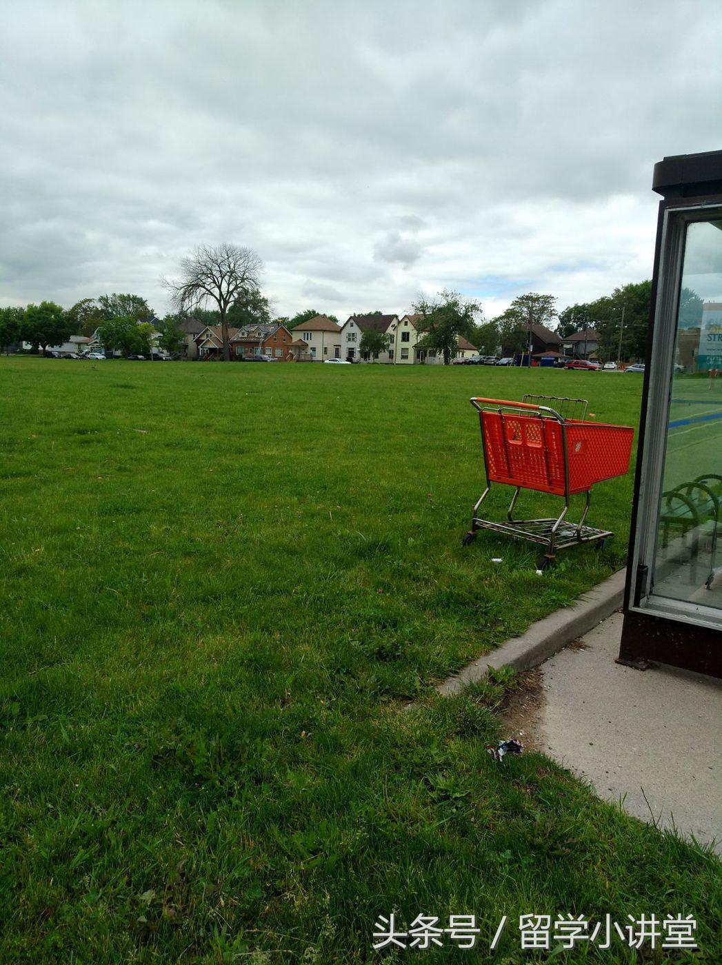 在加拿大长期生活是什么体验,在加拿大生活快乐吗